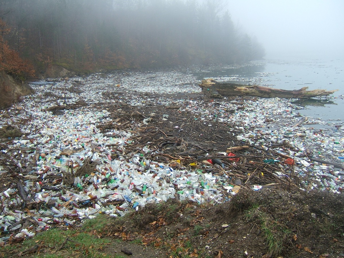 Microplastics gevonden in elke onderzochte menselijke testikel!